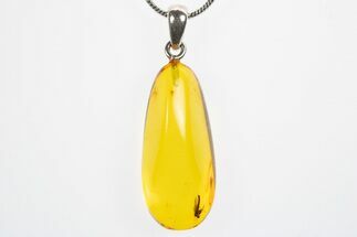 Polished Baltic Amber Pendant (Necklace) - Contains Fly! #307913