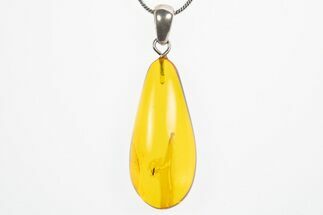 Polished Baltic Amber Pendant (Necklace) - Contains Fly! #307915