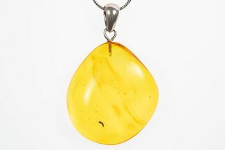 Polished Baltic Amber Pendant (Necklace) - Contains Fly! #307916