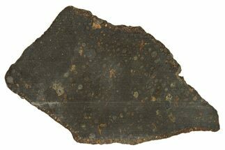 Carbonaceous Chondrite Meteorite ( g) Slice - NWA #308380