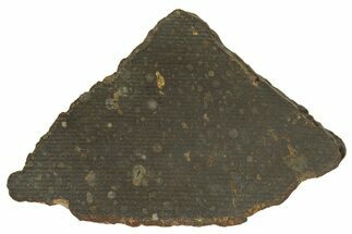 Carbonaceous Chondrite Meteorite ( g) Slice - NWA #308382