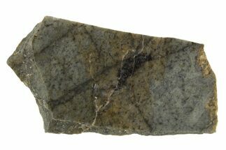 Rare, Lunar Basaltic Breccia Meteorite ( g) Slice - NWA #308387