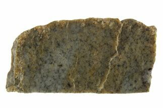 Rare, Lunar Basaltic Breccia Meteorite ( g) Slice - NWA #308389