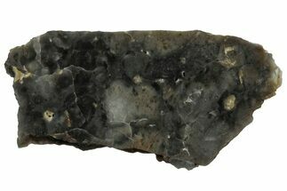 NWA Lunar Meteorite ( g) Slice #307576