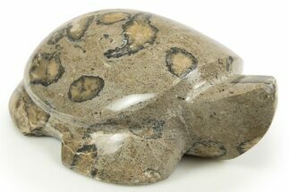 Carved Fossil Staghorn Coral Turtle - Philippines #308606