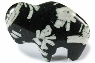 Polished Chinese Writing Rock Bison - California #308686