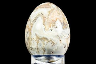 Polished Crazy Lace Agate Egg - Mexico #308739