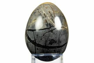 Polished Picasso Marble Egg - Utah #308743