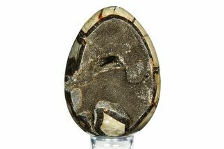 Septarian Dragon Egg Geode - Sparkly Black Crystals #308832