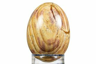 Polished Picture Stone (Jasper) Egg - South Africa #308844