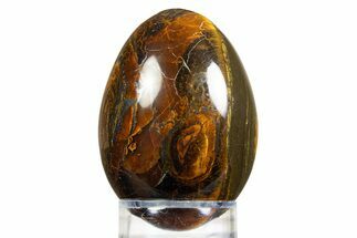 Marra Mamba (Packsaddle) Tiger's Eye Egg - Mt Brockman #308857