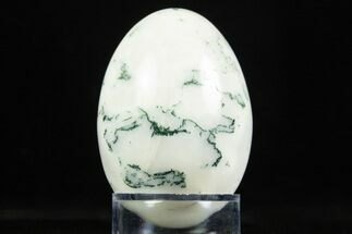 Polished Tree Agate Egg - India #308865