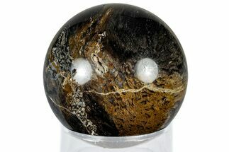 Polished Petrified Palm Root Sphere - Indonesia #309002