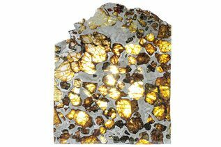 Imilac Pallasites For Sale