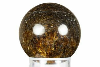 Golden Amphibolite Sphere - Western Australia #309147