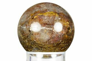 Golden Amphibolite Sphere - Western Australia #309149