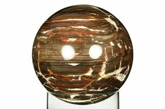 Colorful Polished Petrified Wood Sphere - Arizona #309212