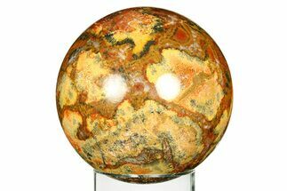 Polished King Cobra Jasper Sphere - India #309223