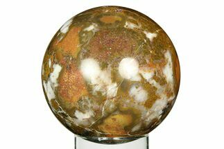Polished King Cobra Jasper Sphere - India #309232