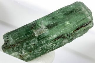 Unusual Green Kyanite Crystal - Tanzania #309551