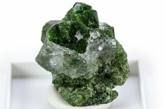 Lustrous Green Chrome Diopside Crystal - Minas Gerais, Brazil #309604