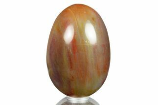 Colorful Polished Petrified Wood Egg - Arizona #309058