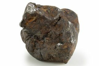 Whole Sericho Pallasite Meteorite ( g) - Kenya #302882