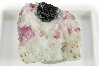 Pink Fluor-Liddicoatite Crystal Cluster - Madagascar #309786