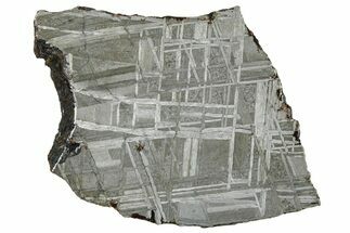 Etched Muonionalusta Meteorite Slice ( g) - Sweden #309803