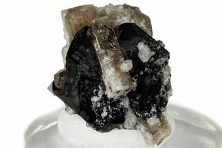 Lustrous Bixbyite on Champagne Topaz - Utah #309338