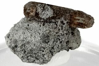 Lustrous Champagne Topaz Crystal - Utah #309285