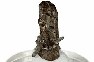 Lustrous Champagne Topaz Crystal Cluster - Utah #309286