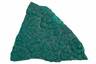 Teal Botryoidal Chrysocolla and Malachite - Chile #310143