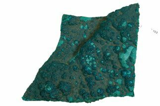 Teal Botryoidal Chrysocolla and Malachite - Chile #310153