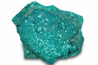 Teal Botryoidal Chrysocolla and Malachite - Chile #310294