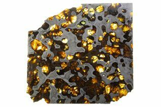 Pallasite Meteorites For Sale