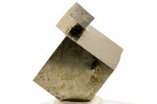 Shiny, Natural Pyrite Cube Cluster - Navajun, Spain #307106