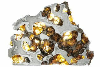 Brenham Pallasite Meteorite ( g) Slice - Kansas #310383