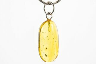 Polished Baltic Amber Pendant (Necklace) - Contains Tiny Spider! #310995