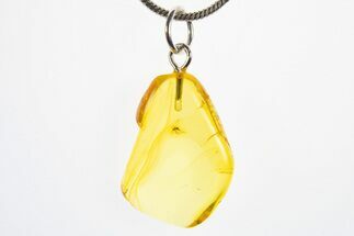 Polished Baltic Amber Pendant (Necklace) - Contains Fly! #311001