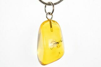 Polished Baltic Amber Pendant (Necklace) - Wasp and Fly! #311027