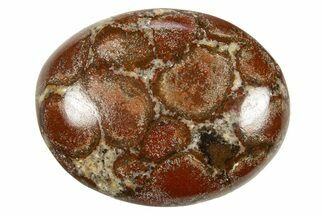 Polished King Cobra Orbicular Jasper Pocket Stones #311435