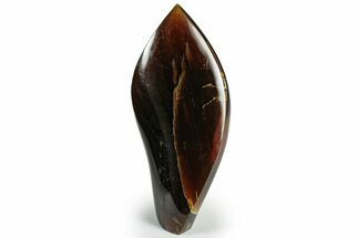 Tall, Free-Standing Polished Indonesian Blue Amber #311492