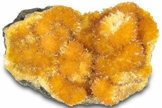 Intense Orange Calcite Crystal Cluster - Poland #311468