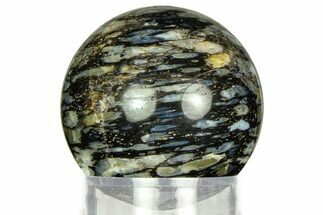 Polished, Black Petrified Palm Root Sphere - Indonesia #311557