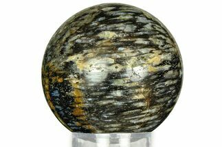 Polished, Black Petrified Palm Root Sphere - Indonesia #311559
