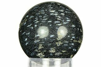 Polished, Black Petrified Palm Root Sphere - Indonesia #311563