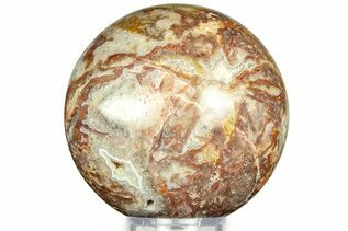 Crazy Lace Agate For Sale