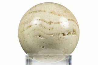 Polished Agatized Fossil Coral Sphere - Indonesia #311524