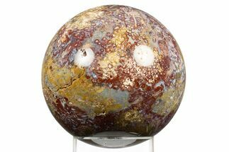 Colorful Polished Petrified Palm Root Sphere - Indonesia #311716